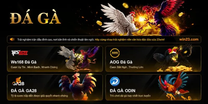 Trang chủ 45 23WIN phát sóng trực tiếp các trận đá gà từ nhiều trường gà quốc tế với tỷ lệ cập nhật liên tục